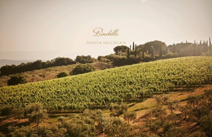 Bindella Tenuta Vallocaia viinamarjaistandus Toscana mäenõlval